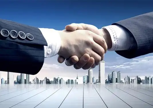 上海通肖网络科技2024年企业级网络解决方案技术白皮书